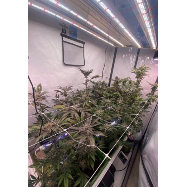 520W Plant Grow Lights Horticulture Dimmable Full Spectrum Indoor Plant Hydroponic