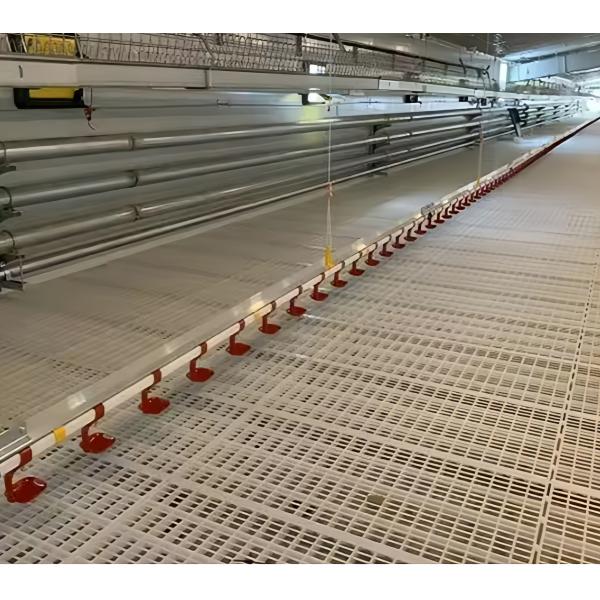 Automatic Broiler Chicken Farming Equipment H Type Chicken Steel Cage