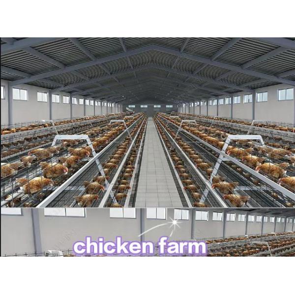Negative Pressure Cooling Equipment Greenhouse 1000 Cfm 5000 Cfm 50 Inch Exhaust Fan