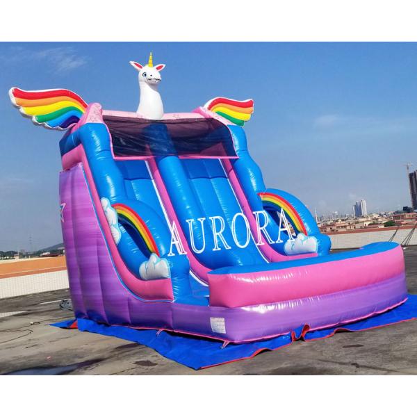 Backyard Inflatable Water Slide Pink Blue Rainbow Horse Design For Kids