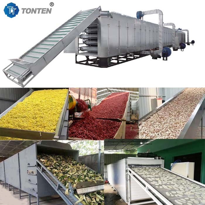 China Vegetable Cassava Belt Dryer Medicinal Drying Machine Automatic wholesale