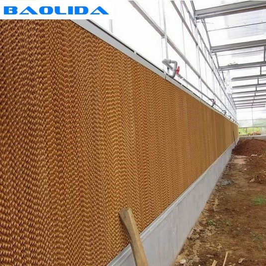 Water Curtain Greenhouse Cooling System / Fan And Pad Cooling System In Greenhouse