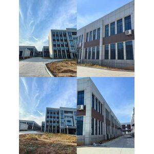 Natural Flavour With Ginger Essential Oil For Food