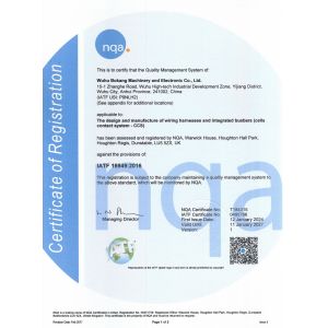 Wuhu Bokang Machinery & Electronic Co, Ltd. Certifications