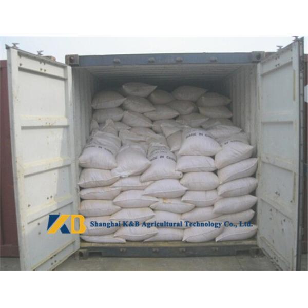 5% Ash Maize Gluten Feed High Protein Content And Various Nutrition Powder