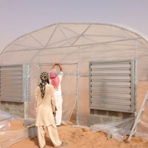 Customize Agricultural Greenhouse Poly Film Greenhouse For vegetable growing