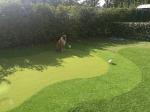 Synthetic Putting Green Golf Turf Grass Gateball Artificial 13m Height