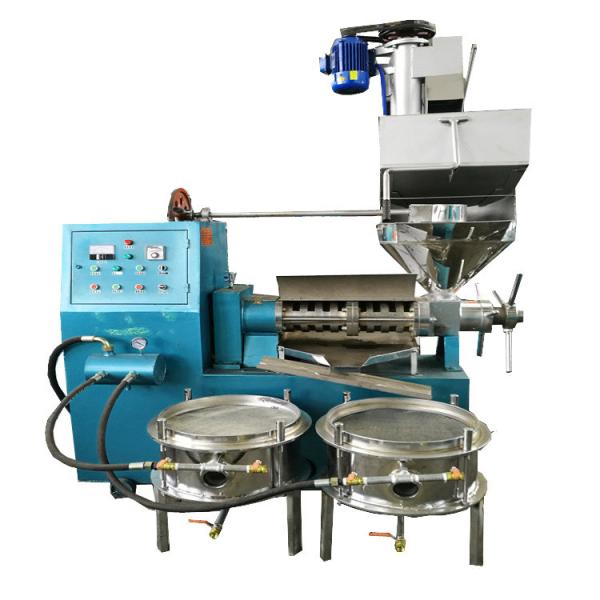 Quality Hot oil press machine/Industry coconut Oil Press Machine/peanut oil making machinery for sale
