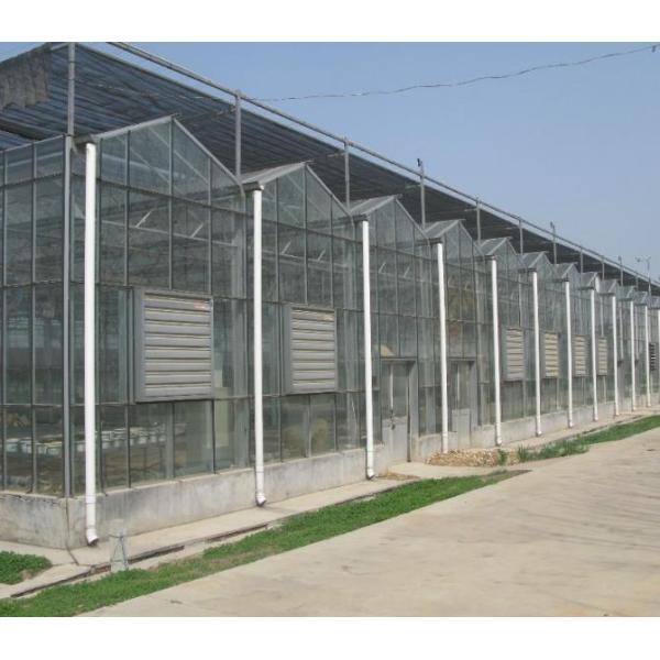 Negative Pressure Cooling Equipment Greenhouse 1000 Cfm 5000 Cfm 50 Inch Exhaust Fan