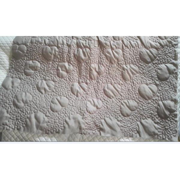 66 Needles 3.2m Automatic Car Mat Quilting Embroidery Machine