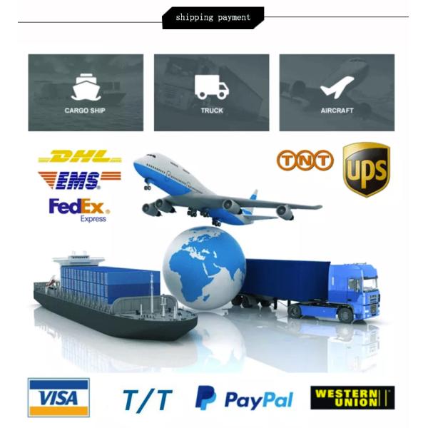 Game Custom Backgammon Chips Pieces Colorful Backgammon Board