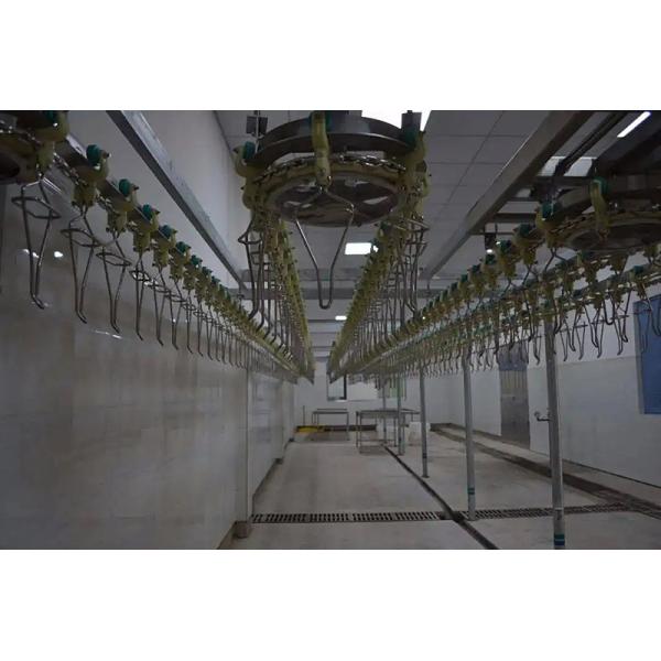 500BPH Automatic Poultry Slaughtering Equipment Chicken Slaughter Line 304
