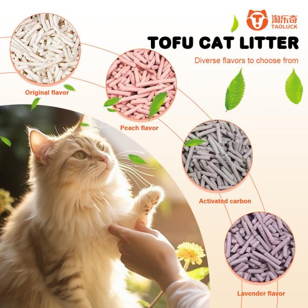 OEM ODM Bulk Tofu Cat Litter Fast Clumping Bulk Kitty Litter