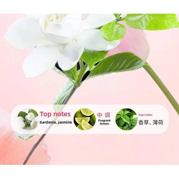 Fragrant Fruity 5 In 1 Laundry Pods 9g Luxury Laundry Pods OEM ODM