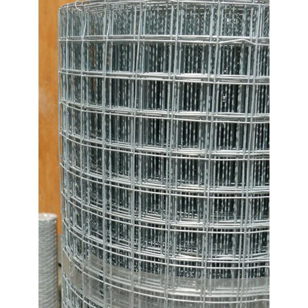 1"X1" Chicken Mesh Fence