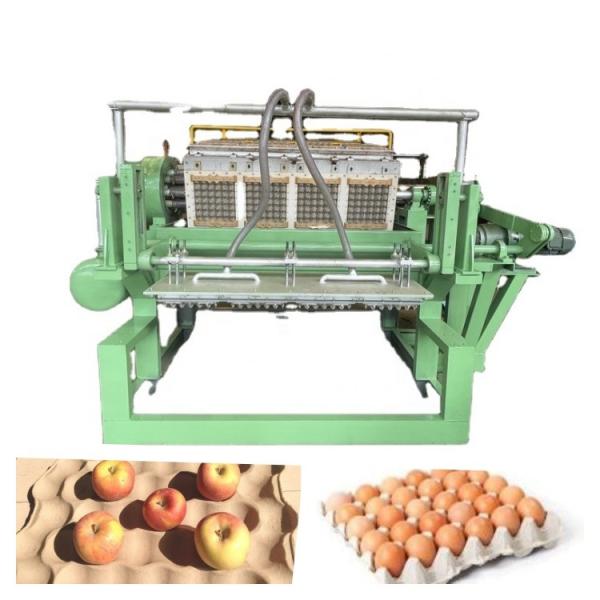 Small And High Capacity Egg Tray Machine For Home Business , Egg Tray Production Line Rotary Type