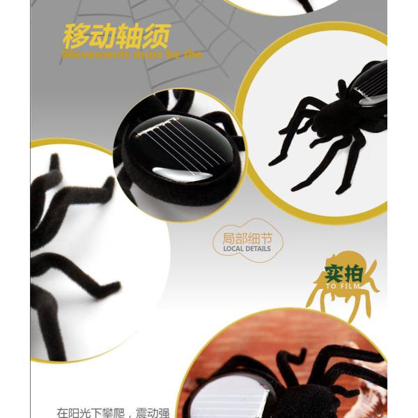 Customizable Solar Powered Spiders Educational Toys Eco Friendly