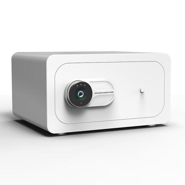 Quality Stain Resistant Fingerprint Lock Small Security Safe Box for sale