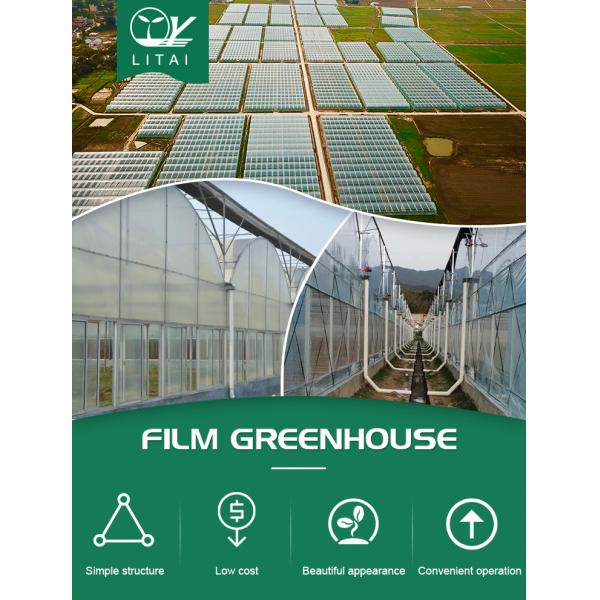 Customizable Size Multi-Span Agricultural Invernadero with Advanced Hydroponic System