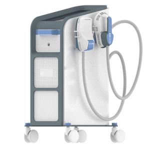 China High Frequency Ems Slimming Machine 220V for Skin Tightening wholesale