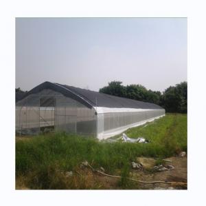 China Customized Single Span Greenhouse For Cucumber Cultivation 10-100m Length wholesale