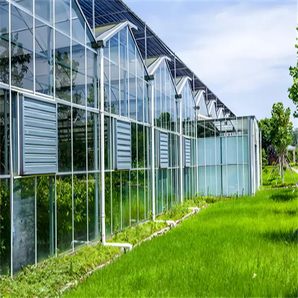Automated Venlo - type glass greenhouse with wet - curtain fan cooling system and carbon dioxide supplementation system