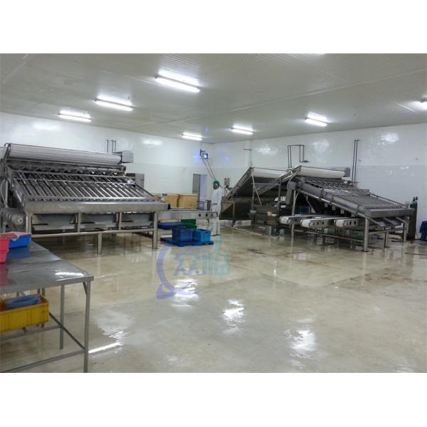 Anti Erosion Shrimp Grading Machine Oilproof Stable 1500KG Weight