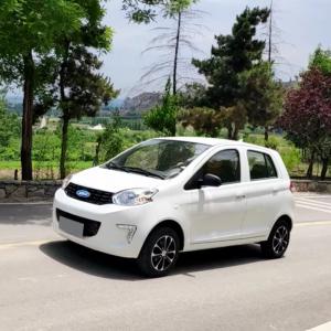China Raysince high end quality vehicle electric wholesales cheap price fast electric car for adult on sale