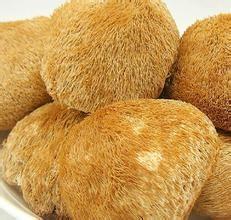 China Lions mane mushroom extract 20%,4:1 Stimulated nerve,myelination and animal nerve system wholesale
