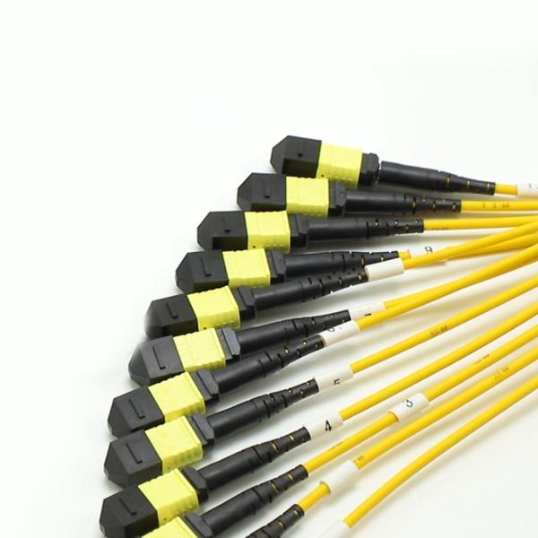 Low Loss MPO Fanout Cable Large Quantity Core 1M 144F SMG657A1 MPO APC to MPO APC Breakout Fiber Optic Patch Cord