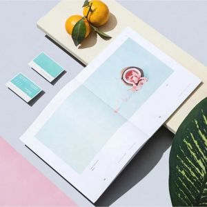 PP lamination Picture Book Printing Paperboard Custom Journal Printing