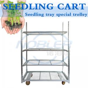 China Standard Hole Tray Rolling Flower Trolley for Greenhouse Agricultural Planting wholesale