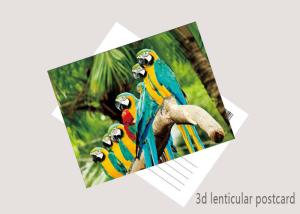 China Promotion Cartoon 3D Lenticular Postcard / Flip Lenticular Image Printing wholesale