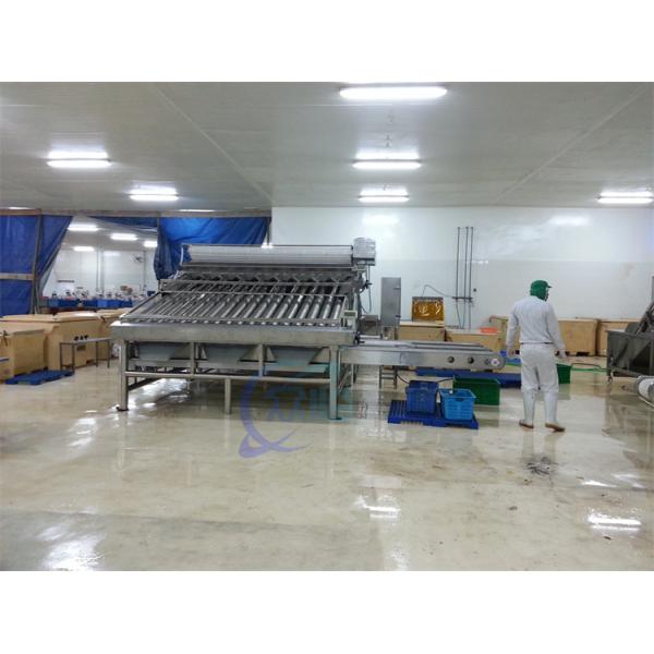Anti Erosion Shrimp Grading Machine Oilproof Stable 1500KG Weight