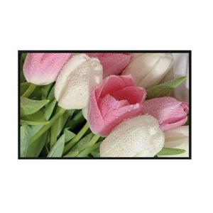 32 Inch Lcd Display Panel Sunlight Readable Outdoor Display Large