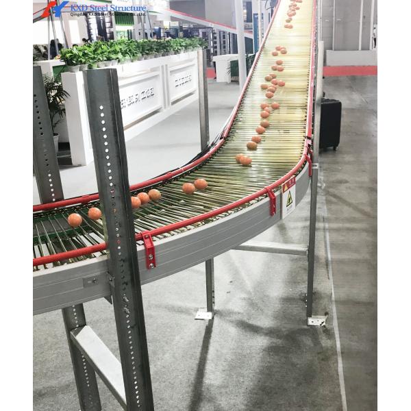 Custom Automatic Chicken Egg Collection System For Layers Cage Feeding