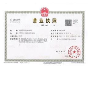 Shandong Lushen Machinery Manufacturing Co., Ltd. Certifications