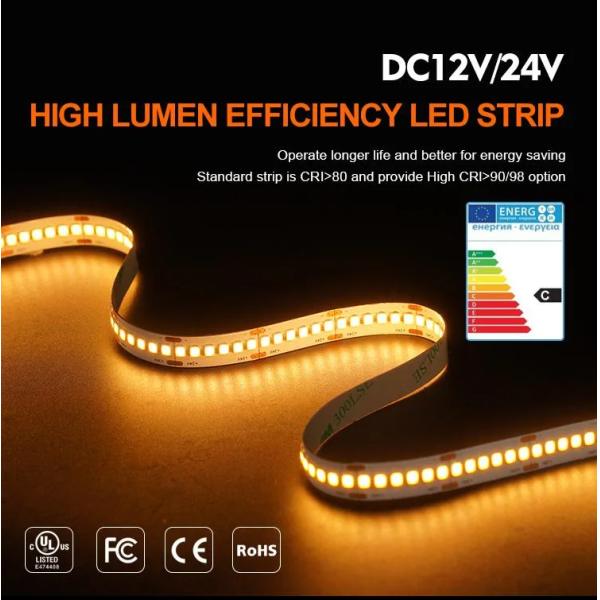 8mm 240leds 6500K Cold White SMD2835 Led Strip Light with Remote Control Switch Mode