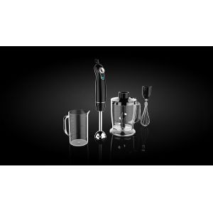 HB107 Stick Food Blender