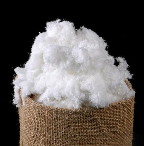 Nylon 66 Staple Fiber 1.5D-30D PA66 Raw White Anti Static