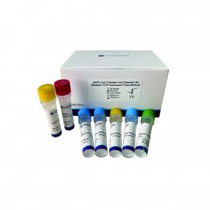 China 48/96 Tests Covid 19 RT PCR Test Kit CE Covid 19 Nucleic Acid Test Kits on sale