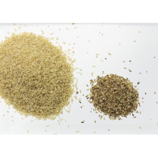 Optical Coffee Beans Color Sorter Machine For Rejecting Fresh And Roasted Coffee Beans For Farm