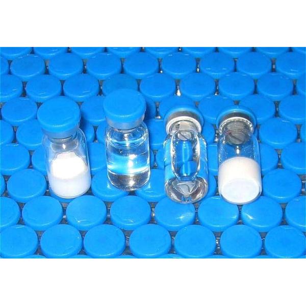 Rotary 80 BPM 2000kg Glass Bottle Filling Line