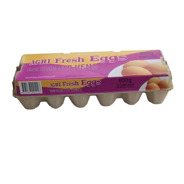 Disposable Paper Molded Egg Carton / Egg Box / Egg Tray with 10 Cavities (not for sell)