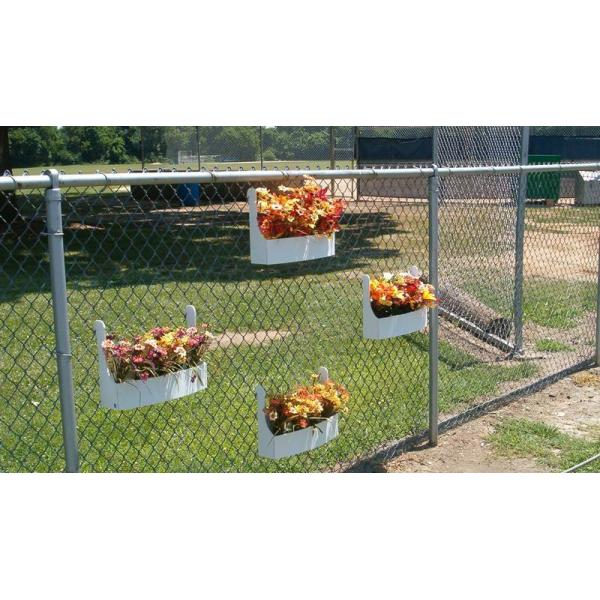 Flowers decorating galvanized chain link fence.
