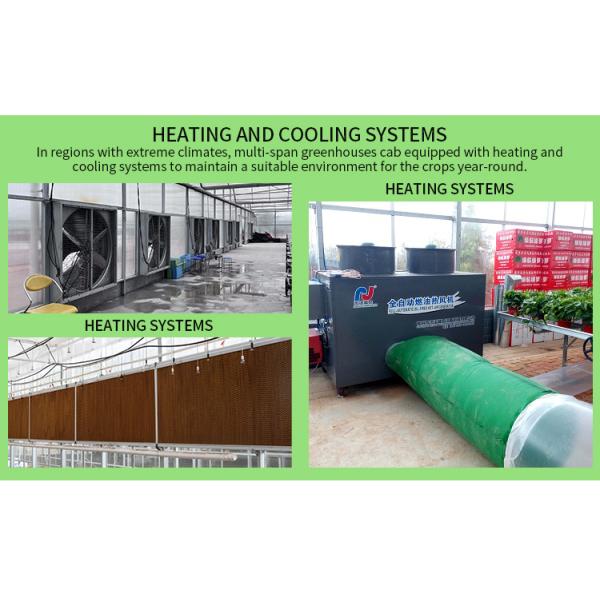 Multi-Span Agricultural Greenhouse 6m-12m Width with 150/200micron PE Film