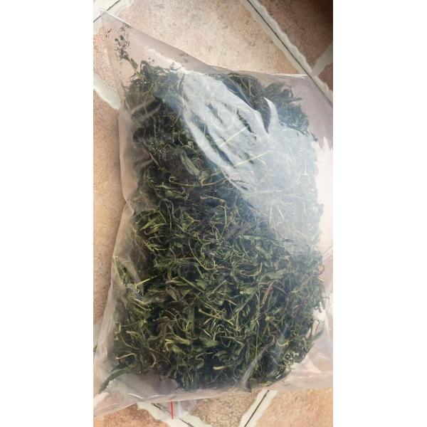 Raspberry sweet leaf contains relatively rich tea polyphenols and total
