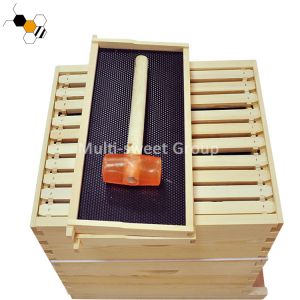 China Beekeeping Boxes Langstroth Beehive Kit Apiculture Tools wholesale