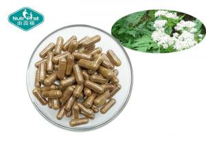 China Dong Quai Angelica Sinensis Capsules for Female Support wholesale