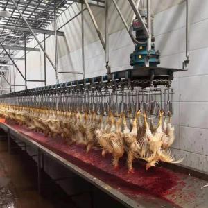 China Automatic Poultry Scalder Machine stainless steel 304 Poultry Processing Equipment wholesale